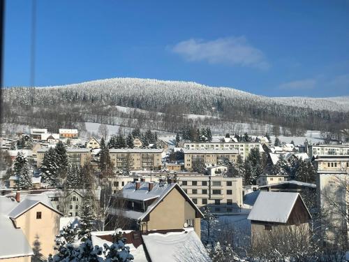 景觀, Apartmán Votoček (Apartman Votocek) in 羅基尼茨納德傑茨羅