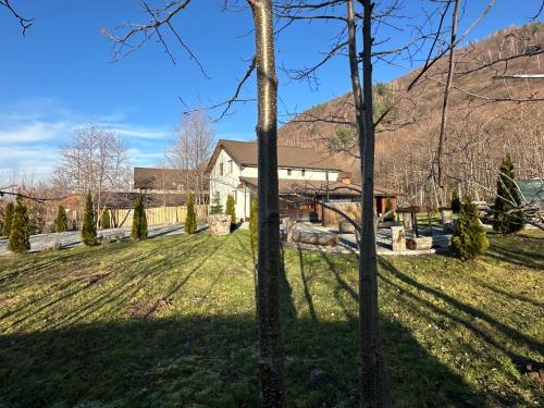 Casă de vacanță TOTO (Casa de vacanta TOTO) in Sebesu De Sus