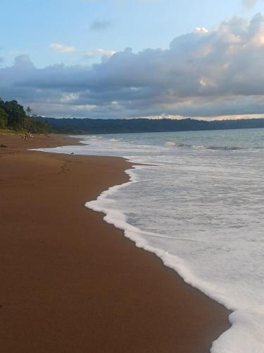 Ceiba Ganadito in Peninsula De Osa