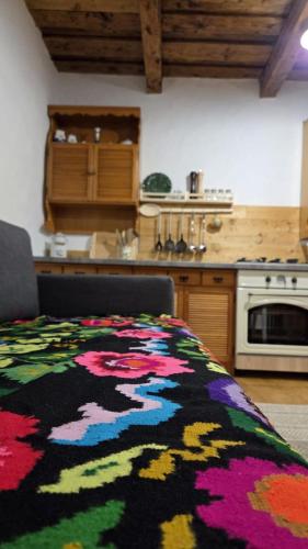 Iekārtas, DejaView Casa Veche in Skrinda Frasineta