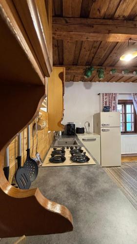 Iekārtas, DejaView Casa Veche in Skrinda Frasineta