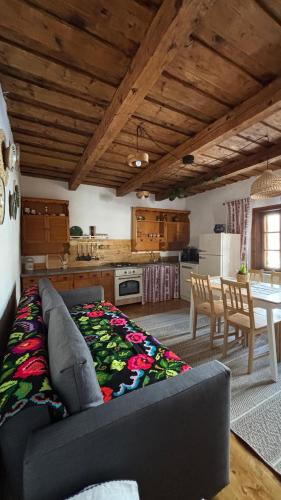 Iekārtas, DejaView Casa Veche in Skrinda Frasineta