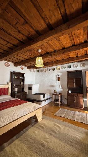 Istaba viesiem, DejaView Casa Veche in Skrinda Frasineta