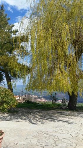 Agriturismo Il Regio Tratturo