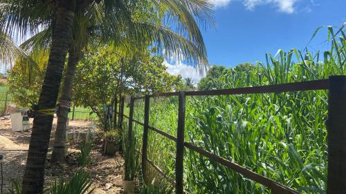 Rancho Coqueiros#Amor e Paz in Buritama