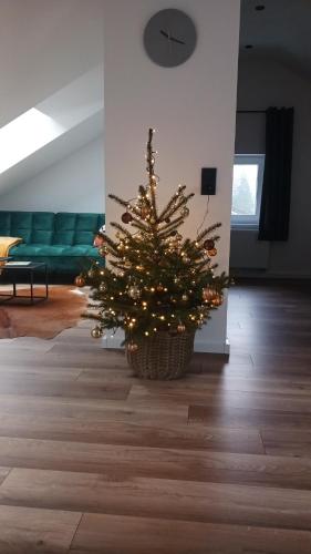 Ferienhaus am Wald in 達恩