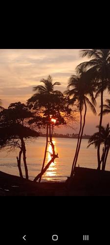 Apartamento en chichirive los cocos garden playa norte mono ambiente in Chichiriviche