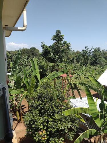 Tororo Travelers Home in Tororo