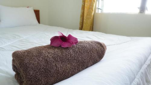 Seaside Apartments Fiji Stay - image 5
