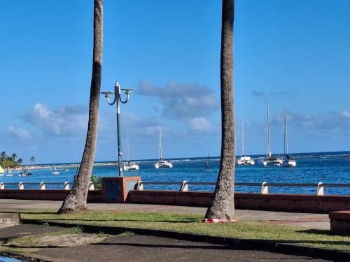 ทัศนียภาพ, Papillon Sainte-Anne Bungalow, Guadeloupe in บัว โฌลอง