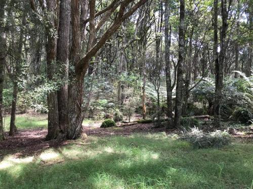 Saint Karas Retreat Cottage in Kaikohe