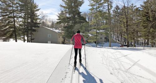 Telemark Northwoods Lodging - image 11