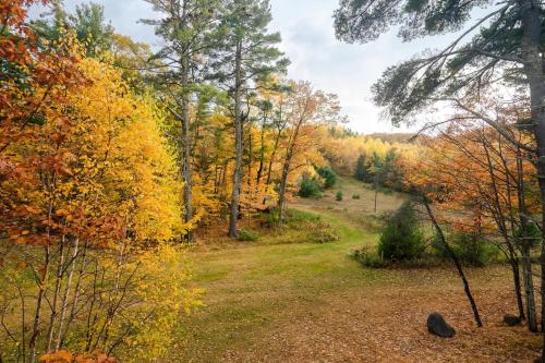Telemark Northwoods Lodging - image 3