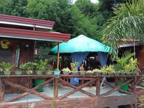 Villa Lenda Resort - San Manuel, Pangasinan in Binalonan