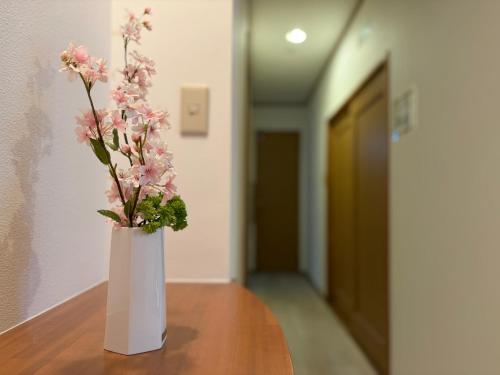 Skytree Tokyo apartment, Tokio (foto 4)
