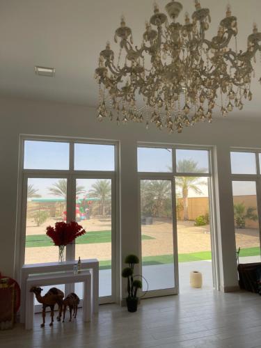 kashtat ousha in Bid Hamamah