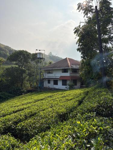 FroZen NeST - Vagamon