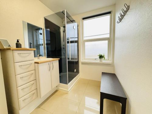 Bathroom, aday - 5 bedrooms modern living apartment in Langholt in Vodskov