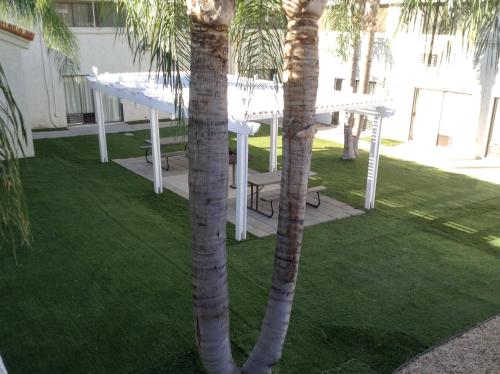 Bejárat, Motel 6 Hemet, CA in Hemet