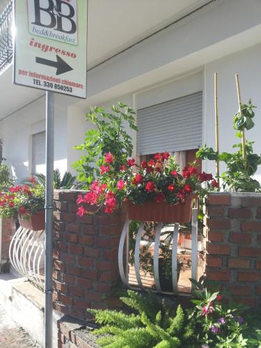 B&b Irma 5