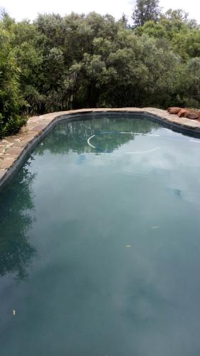 Honey Nest Camp in Koster