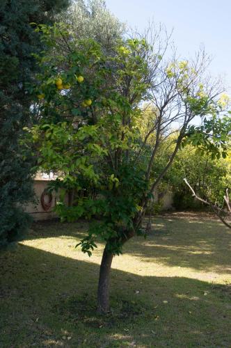  Villa Fenia in Nea Makri in Nea Makri