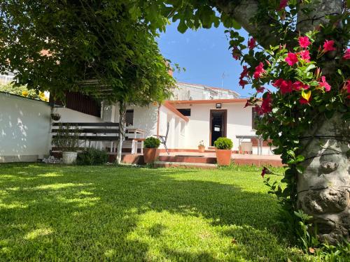 Casa Divarro