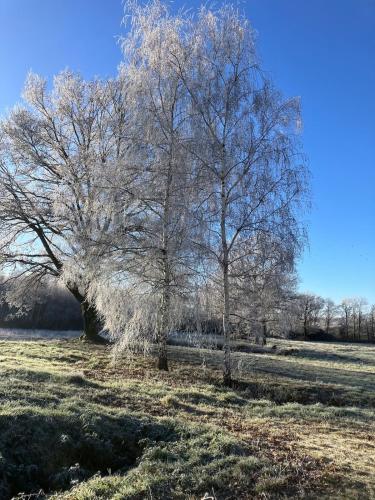 AUX ABORDS DU PoT BOUILLANT in Mailhac-sur-Benaize