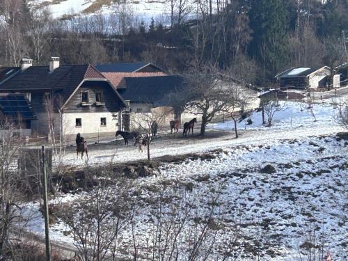 Kilátás, Ferienhaus Riegler in Trattenbach
