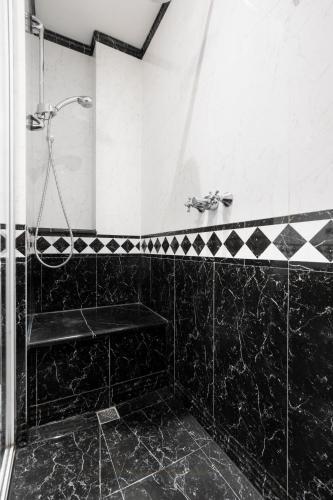 Hotel Maxim - image 14
