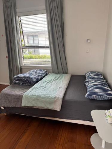 House for families near airport in Wellington in Wellington Airport
