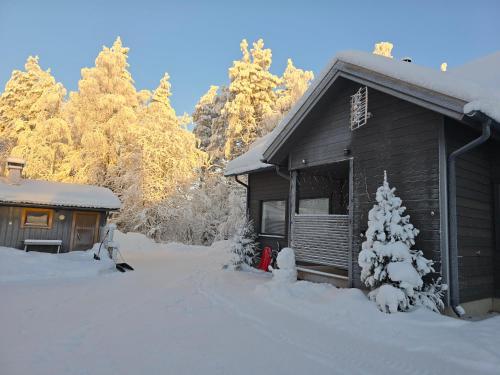 Elves Eco Design House A 5