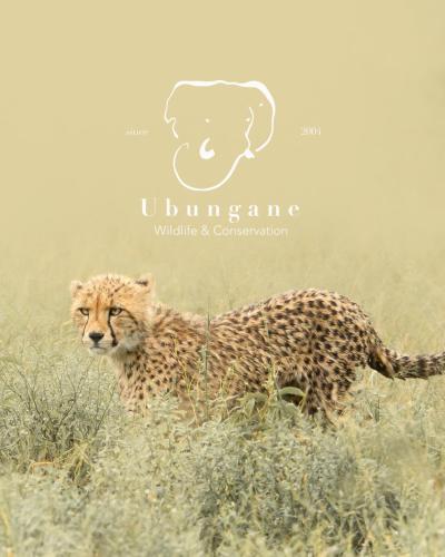Ubungane Lodge