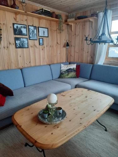 Familiehytte på Botn, Vågslid til leie (Familiehytte pa Botn, Vagslid til leie) in Edland
