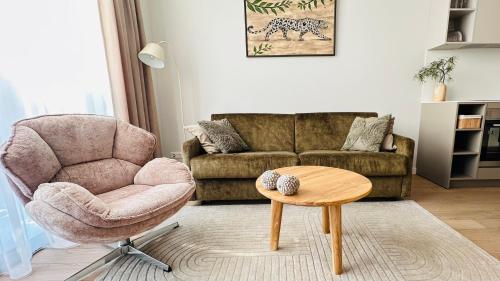 Cozy Riverside Apartment – khách sạn tại Birstonas
