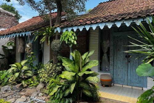 Happy House Bromo backpacker Room Type - Bungalow with Garden View