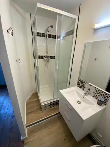 Colocation à Roubaix avec terrasse (Colocation a Roubaix avec terrasse) in 魯貝