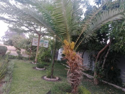 Dares Evergreen Lodge in Choma