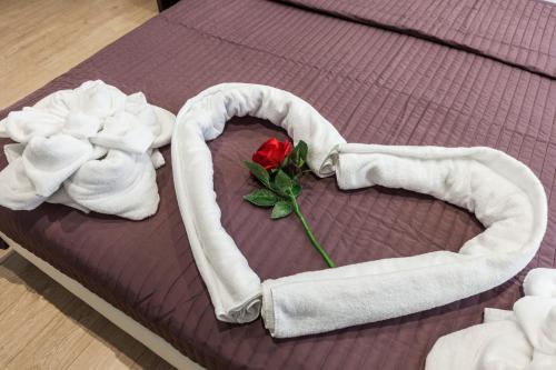 Stardust Rome Guest House – Rome