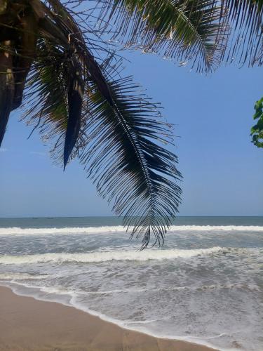 Dizzy Lizzies Beach House Resort in Mallam