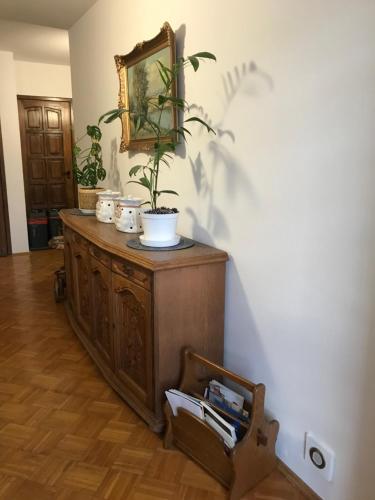 Gościnny Zakątek (Goscinny Zakatek) in 比蘭尼