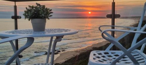 Dolphin Wave in 莫塞爾灣