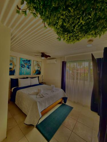 Loma Real Hot Springs Bed & Breakfast, Fortuna (foto 11)