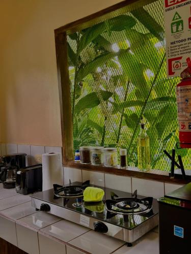 Loma Real Hot Springs Bed & Breakfast, Fortuna (foto 10)