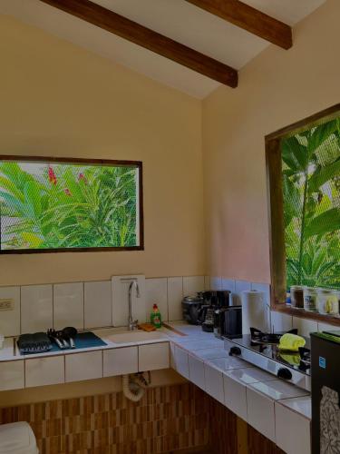 Loma Real Hot Springs Bed & Breakfast, Fortuna (foto 7)