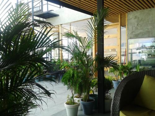 ห้องอาหาร, Park View Stay in มาเลซิตี้ แอนด์ แอร์พอร์ต