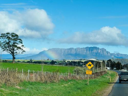 True Blue Four - Couples Plus - Queenstown