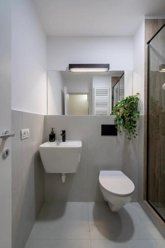 Gorgeous 2BR Retreat - Old Town & Calea Victoriei - image 4