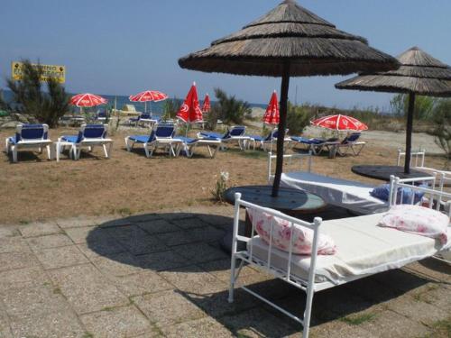 Hébergement avec terrasse proche plage, 1 chambre, 4 pers. - API-1-52-901 (Hebergement avec terrasse proche plage, 1 chambre, 4 pers. - API-1-52-901) in Sorbo-Ocagnano