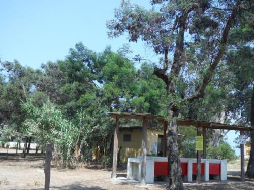 Hébergement avec terrasse proche plage, 1 chambre, 4 pers. - API-1-52-901 (Hebergement avec terrasse proche plage, 1 chambre, 4 pers. - API-1-52-901) in Sorbo-Ocagnano